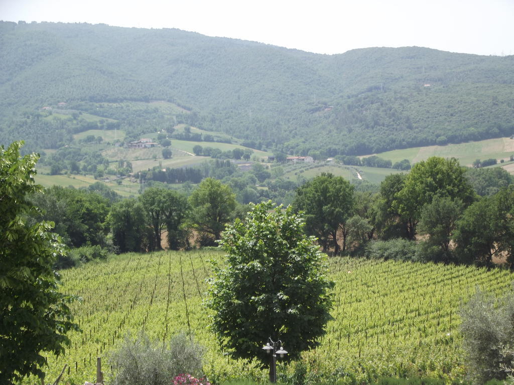 Agriturismo Regno Verde Narni Exterior foto